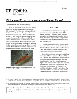 Biology and Economic Importance of Flower Thrips1