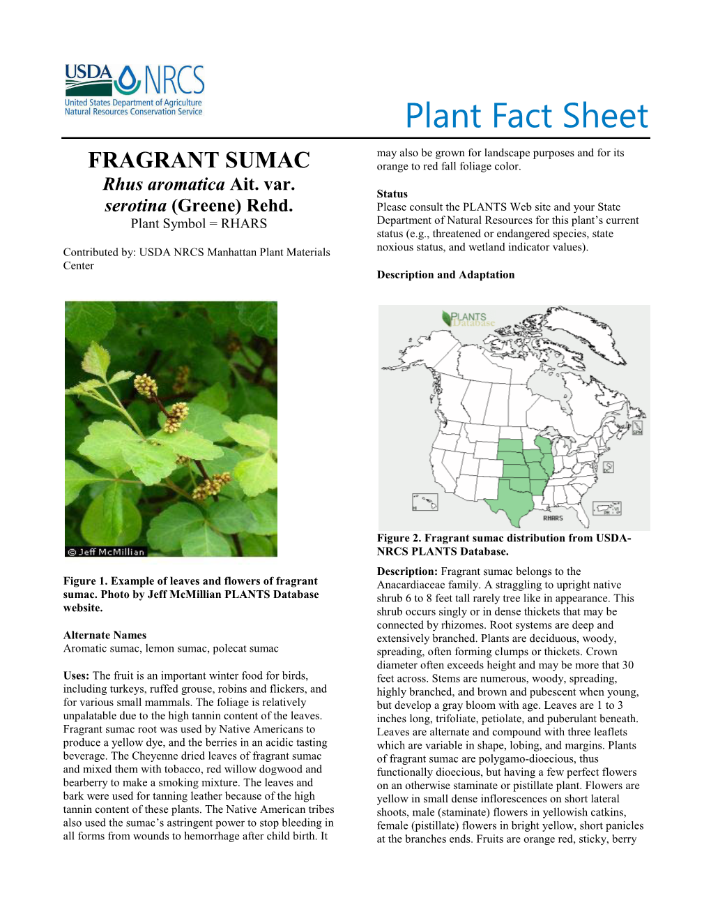 Fragrant Sumac (Rhus Aromatica) Plant Fact Sheet