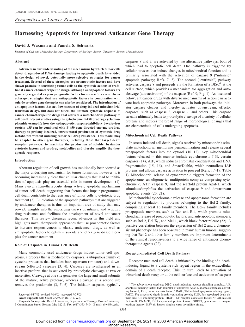 Harnessing Apoptosis for Improved Anticancer Gene Therapy