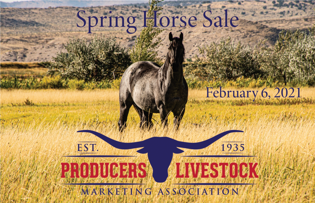 GRE-2021Horse Sale Catalog.Pdf