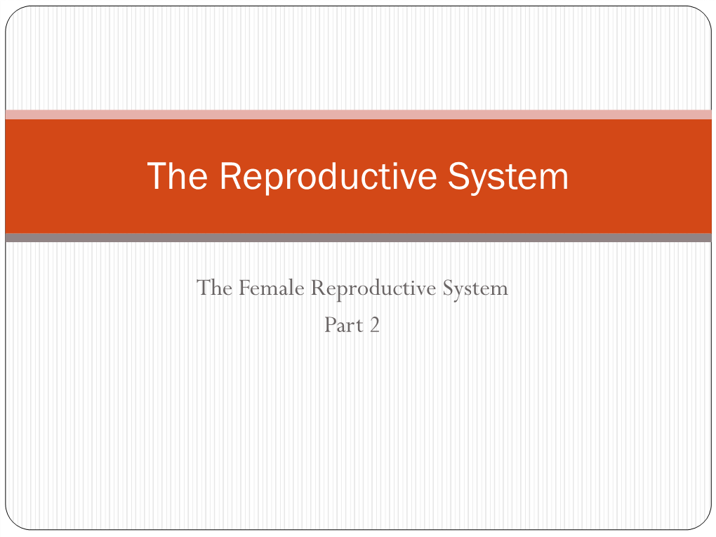 Female Reproductive System