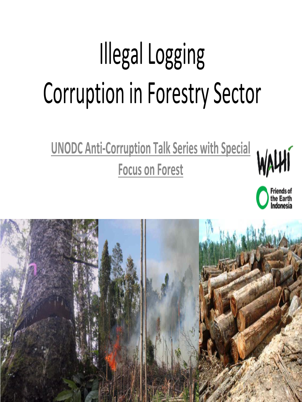 Illegal Logging Corruption in Forestry Sector
