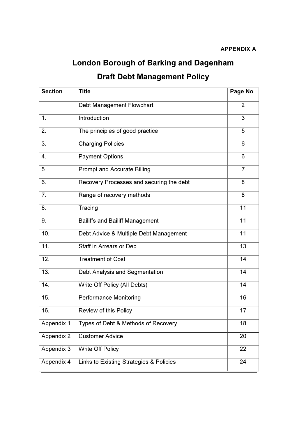 Debt Management Policy Report