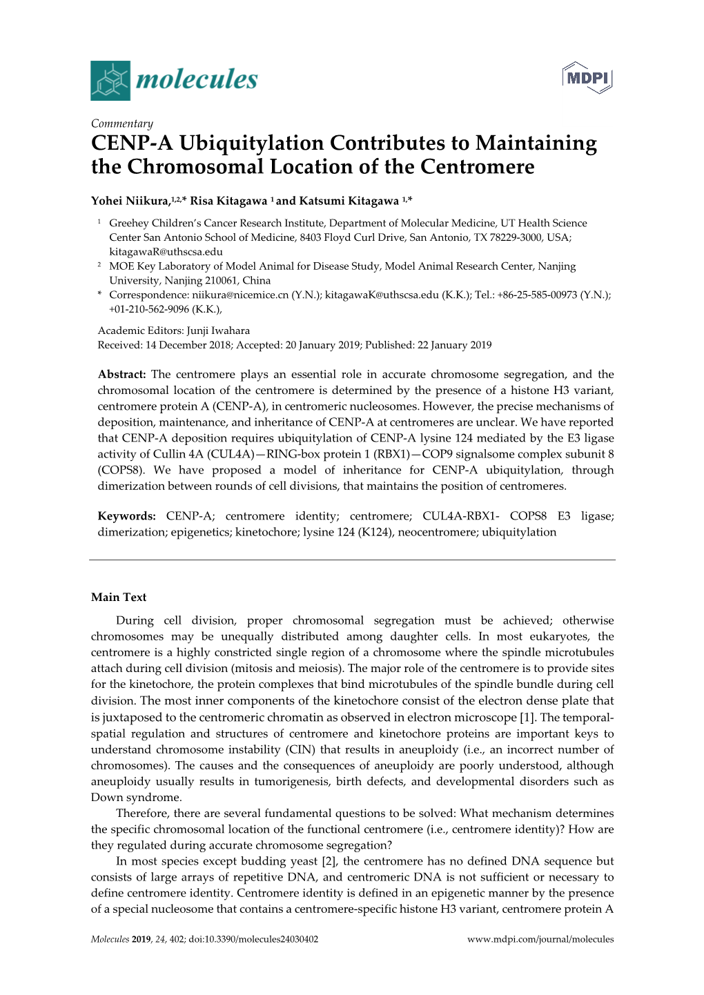 CENP-A Ubiquitylation Contributes to Maintaining the Chromosomal Location of the Centromere