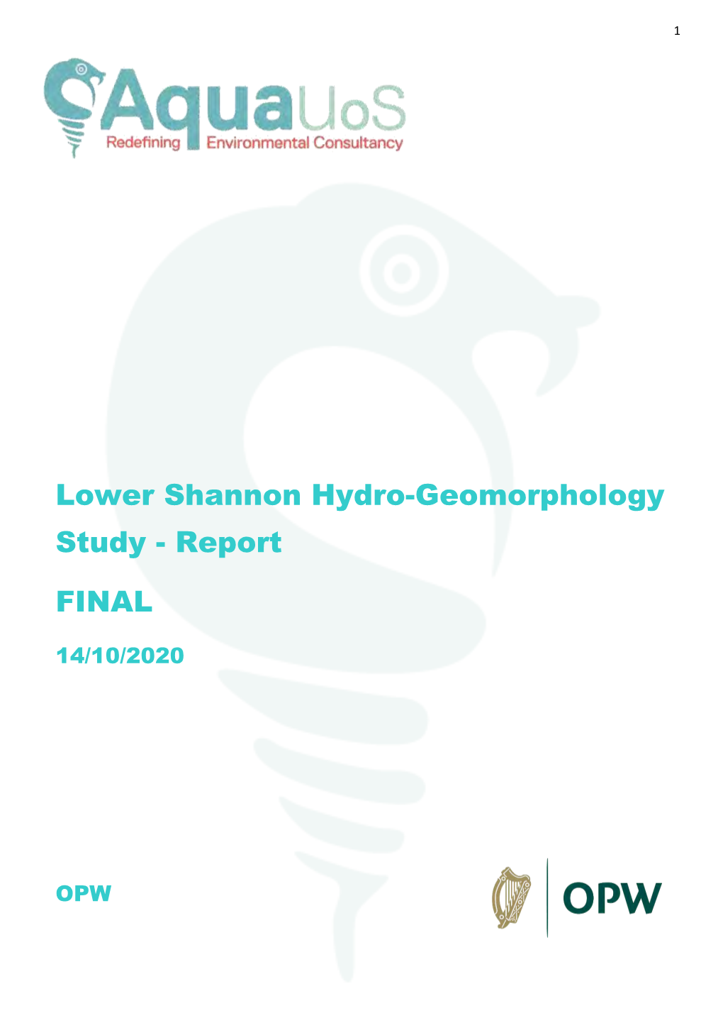 Lower Shannon Hydro-Geomorphology Study - Report