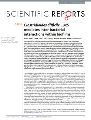Clostridioides Difficile Luxs Mediates Inter-Bacterial Interactions Within
