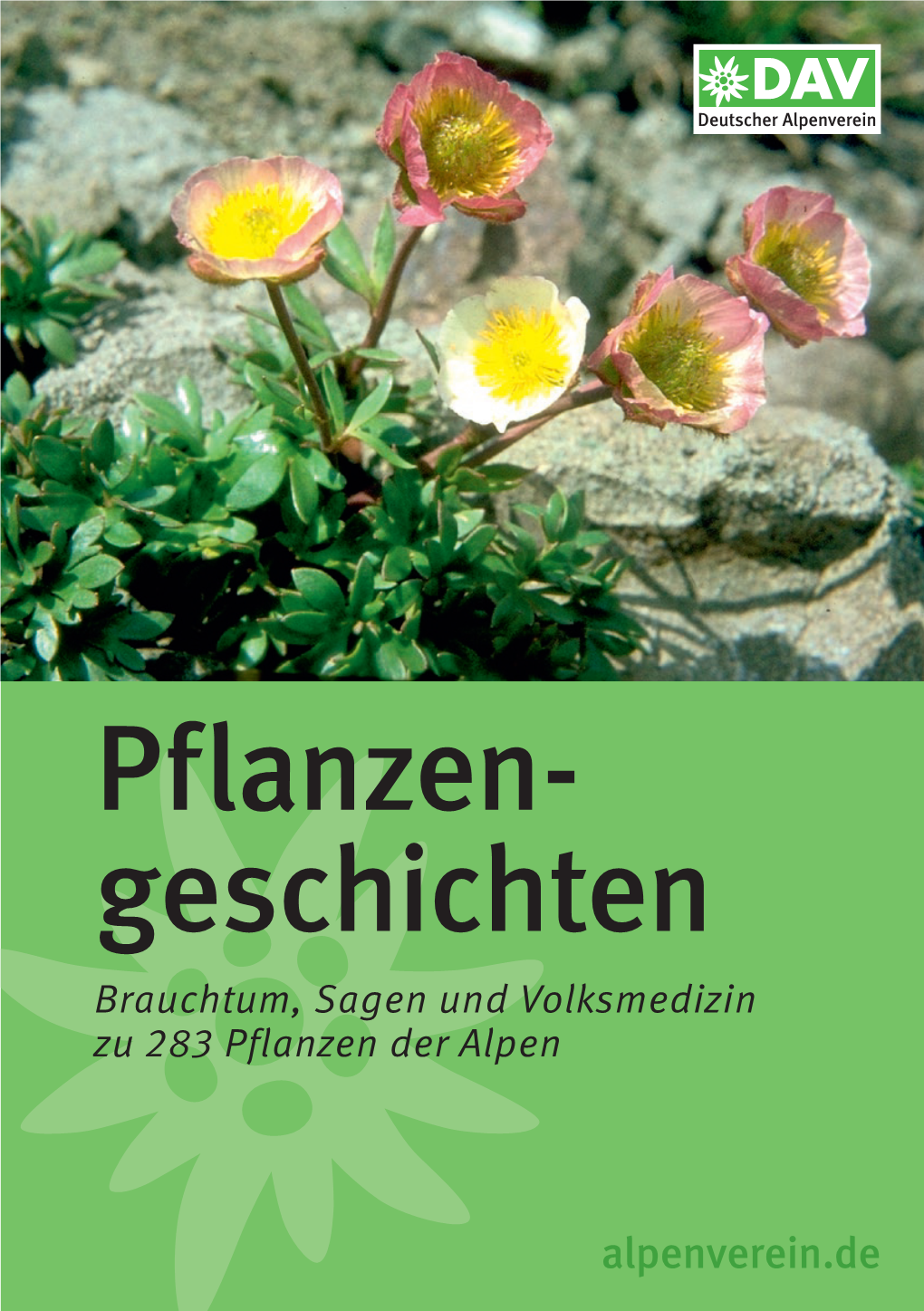 Pflanzen- Geschichten Brauchtum, Sagen Und Volksmedizin Zu  Pflanzen Der Alpen