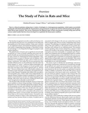 The Study of Pain in Rats and Mice