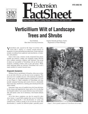 Verticillium Wilt of Landscape Trees and Shrubs