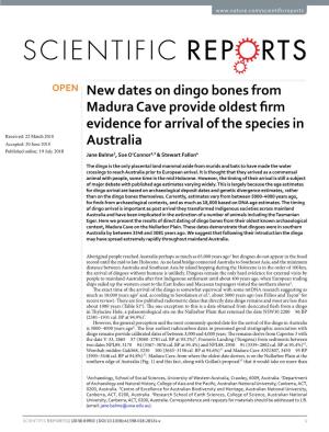 New Dates on Dingo Bones from Madura Cave Provide Oldest Firm Evidence for Arrival of the Species in Australia