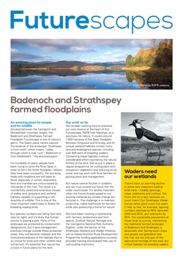 Badenoch and Strathspey Farmed Floodplains