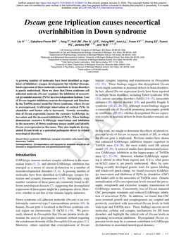 Dscam Gene Triplication Causes Neocortical Overinhibition in Down Syndrome