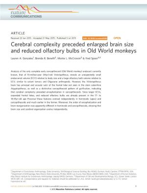 Cerebral Complexity Preceded Enlarged Brain Size and Reduced Olfactory Bulbs in Old World Monkeys