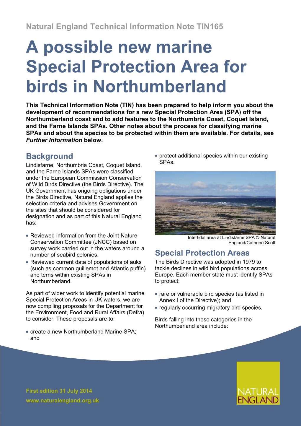 A Possible New Marine Special Protection Area for Birds In