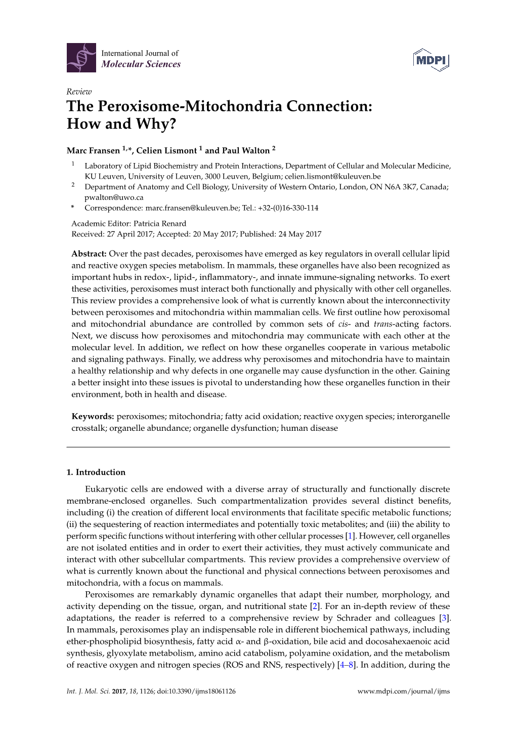 The Peroxisome-Mitochondria Connection: How and Why?