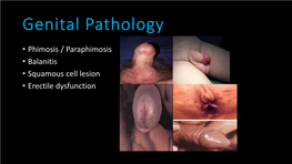 Genital Pathology