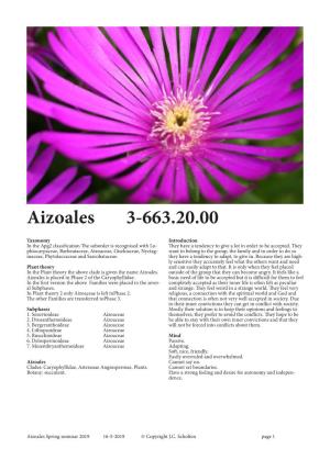 Aizoales 3-663.20.00