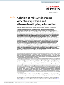 Ablation of Mir-144 Increases Vimentin Expression and Atherosclerotic Plaque Formation Quan He1, Fangfei Wang1, Takashi Honda1, Kenneth D