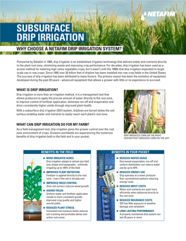 Subsurface Drip Irrigation Why Choose a Netafim Drip Irrigation System?