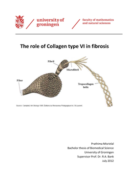 The Role of Collagen Type VI in Fibrosis