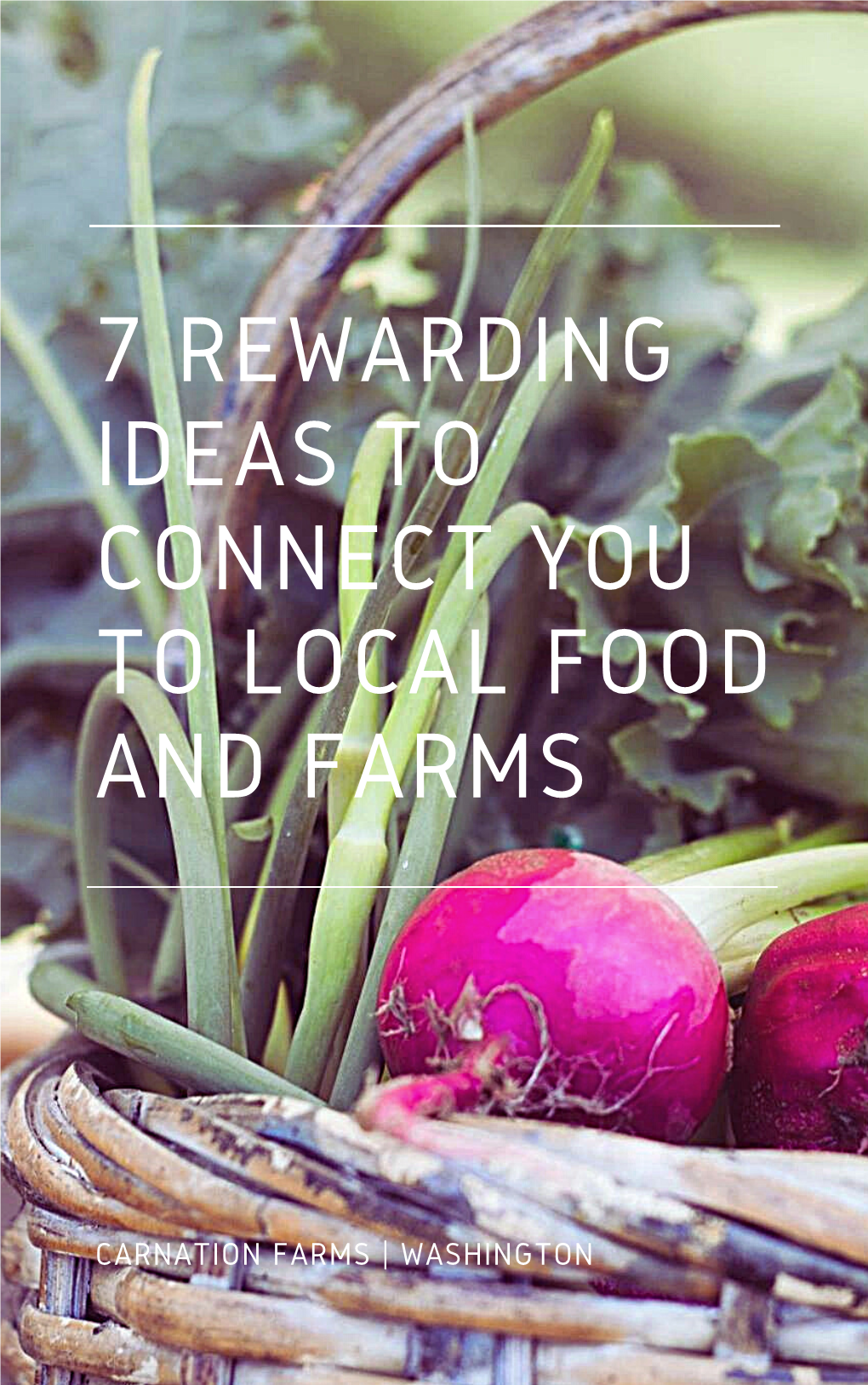 7 Rewarding Ideas to Connect You to Local Food and Farms