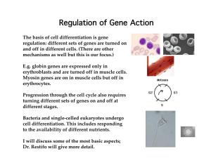 Regulation of Gene Action