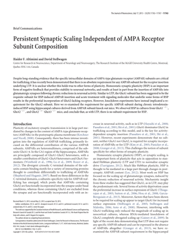 Persistent Synaptic Scaling Independent of AMPA Receptor Subunit Composition