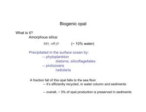 Biogenic Opal