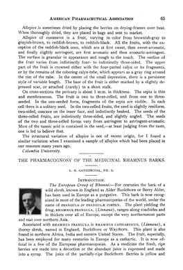 The Pharmacognosy of the Medicinal Rhamnus Barks