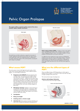 Pelvic Organ Prolapse