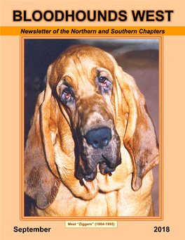BLOODHOUNDS WEST Newsletter of the Northern and Southern Chapters