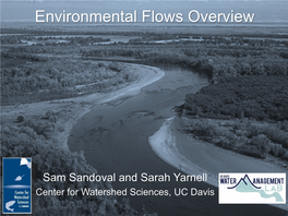 Environmental Flows Overview