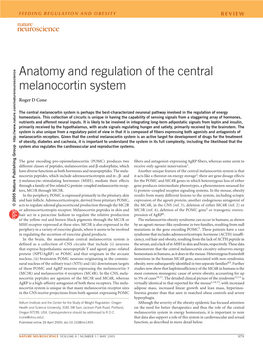 Anatomy and Regulation of the Central Melanocortin System