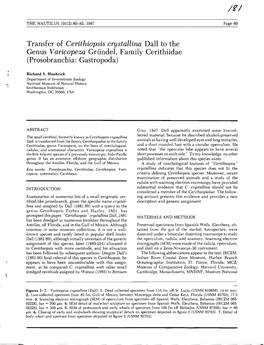 Transfer of Cerithiopsis Crystallina Dall to the Genus Varicopeza Griindel, Family Cerithiidae (Prosobranchia: Gastropoda)