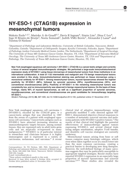NY-ESO-1 (CTAG1B) Expression in Mesenchymal Tumors