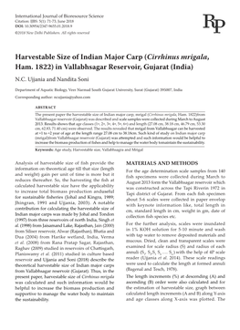 Harvestable Size of Indian Major Carp (Cirrhinus Mrigala, Ham