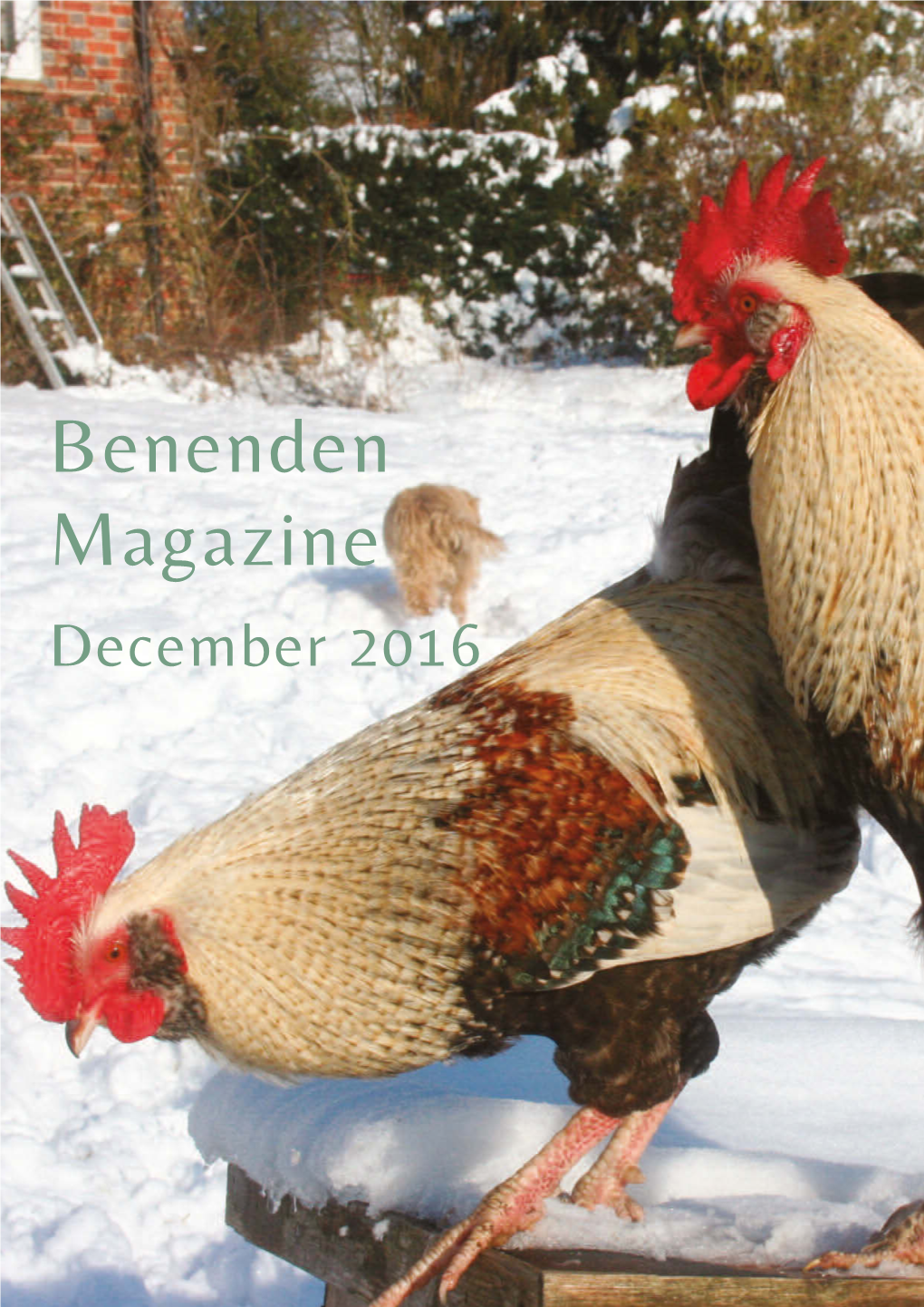 Benenden Magazine December 2016