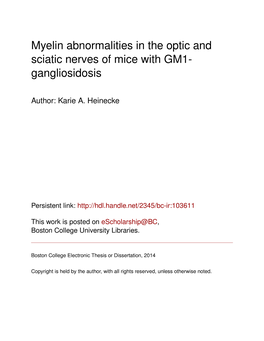 Myelin Abnormalities in the Optic and Sciatic Nerves of Mice with GM1- Gangliosidosis
