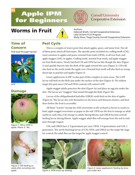 Worms in Fruit