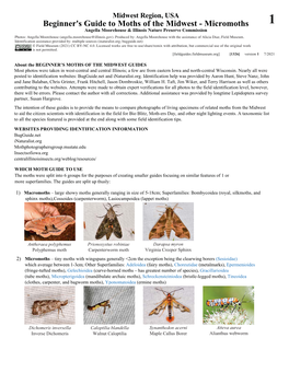 Beginner S Guide to Moths of the Midwest Micromoths