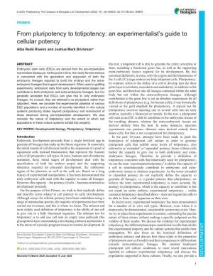 From Pluripotency to Totipotency: an Experimentalist's Guide to Cellular