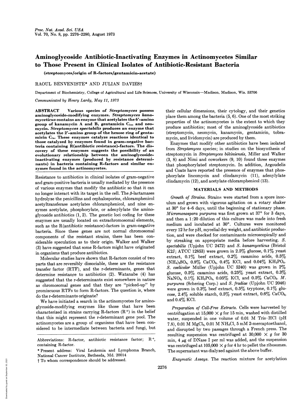 Aminoglycoside Antibiotic-Inactivating Enzymes in Actinomycetes Similar