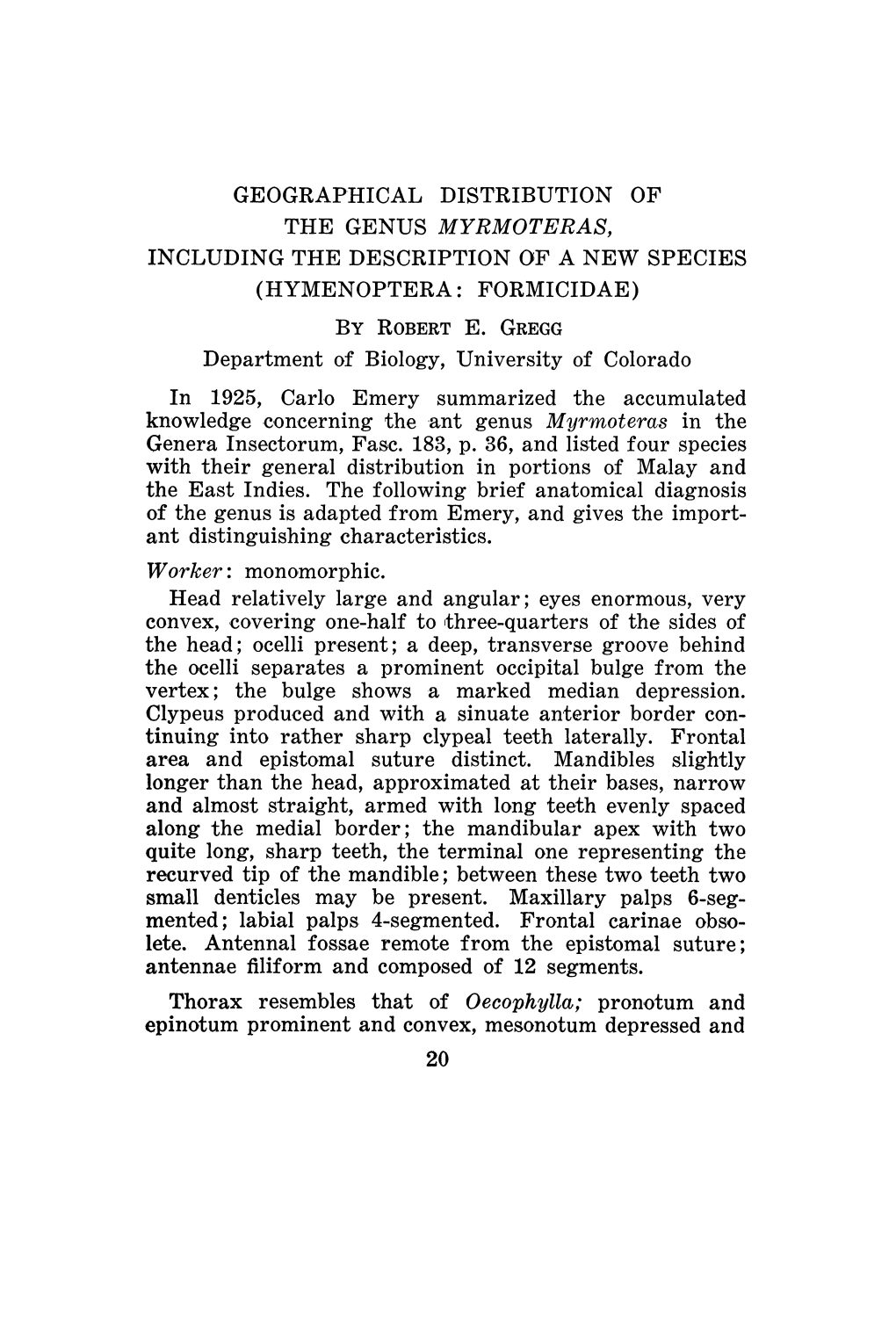 Geographical Distribution of the Genus Myrmoteras, Including the Description of a New Species (Hymenoptera Formicidae) by Robert E