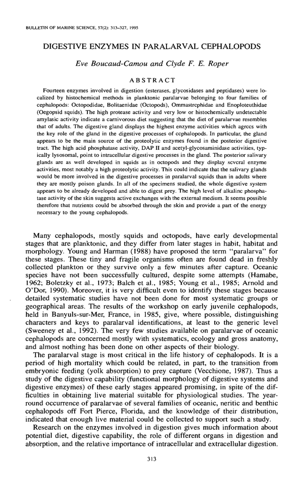 Digestive Enzymes in Paralarval Cephalopods