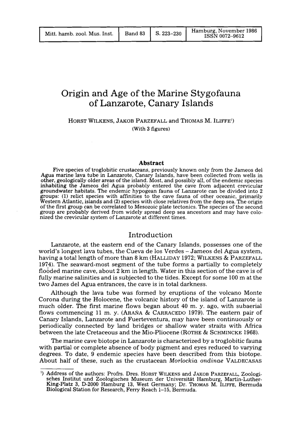 Origin and Age of the Marine Stygofauna of Lanzarote, Canary Islands