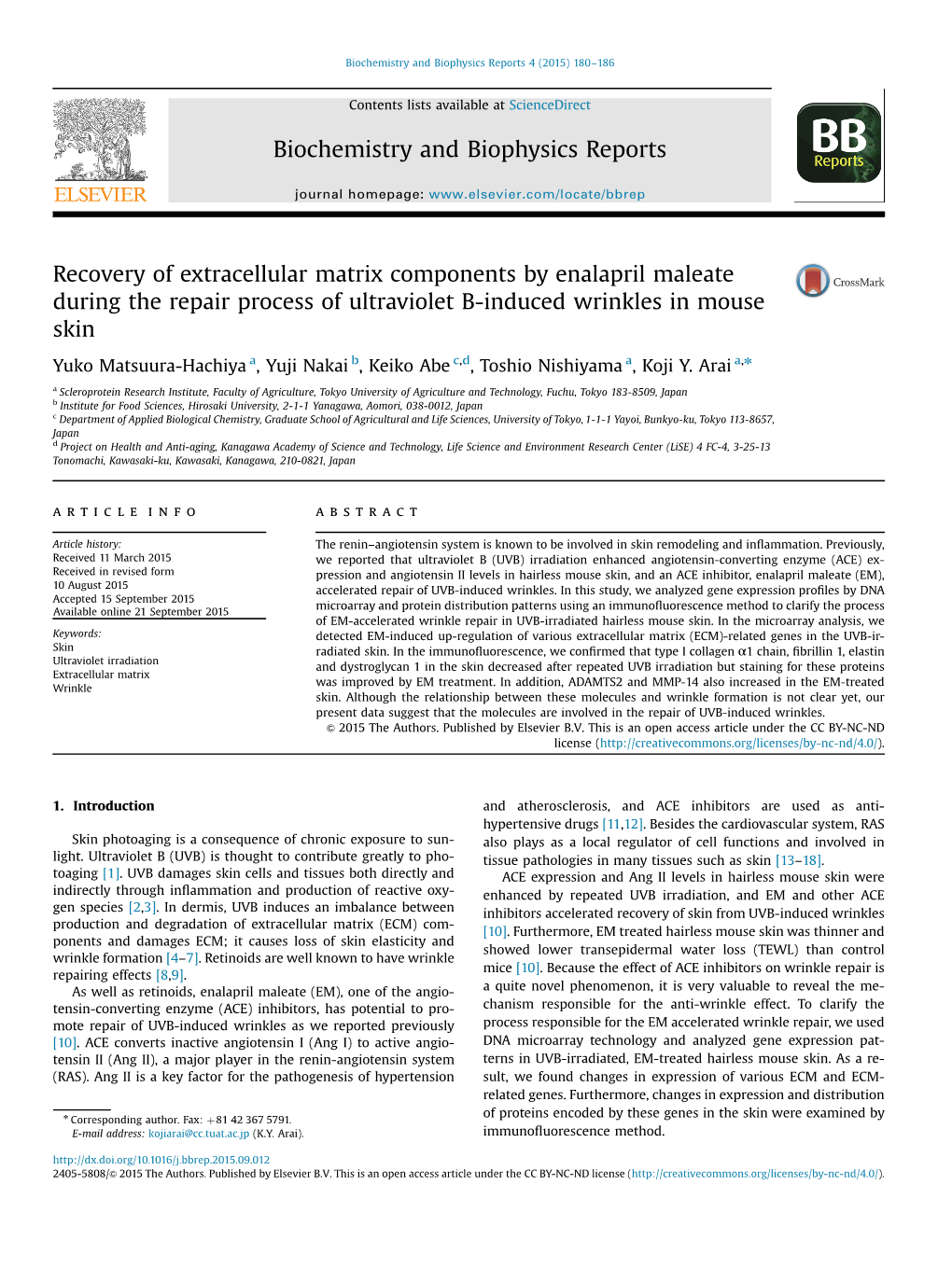 Recovery of Extracellular Matrix Components by Enalapril Maleate During the Repair Process of Ultraviolet B-Induced Wrinkles in Mouse Skin