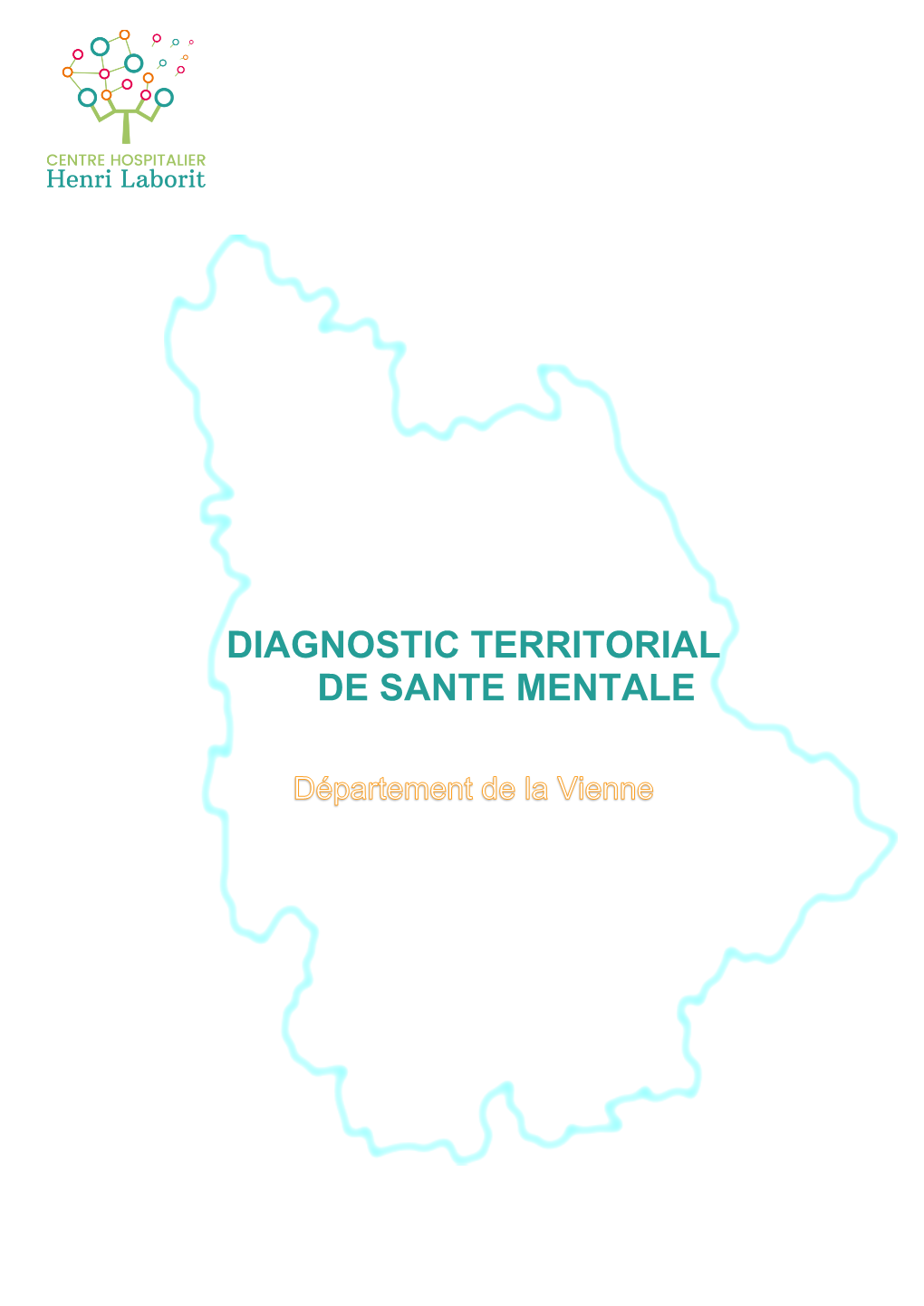 Diagnostic Territorial De Sante Mentale