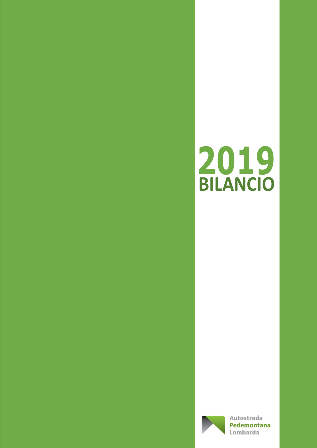 Bilancio Al 31 Dicembre 2019 Nel Presupposto Della Continuità Aziendale