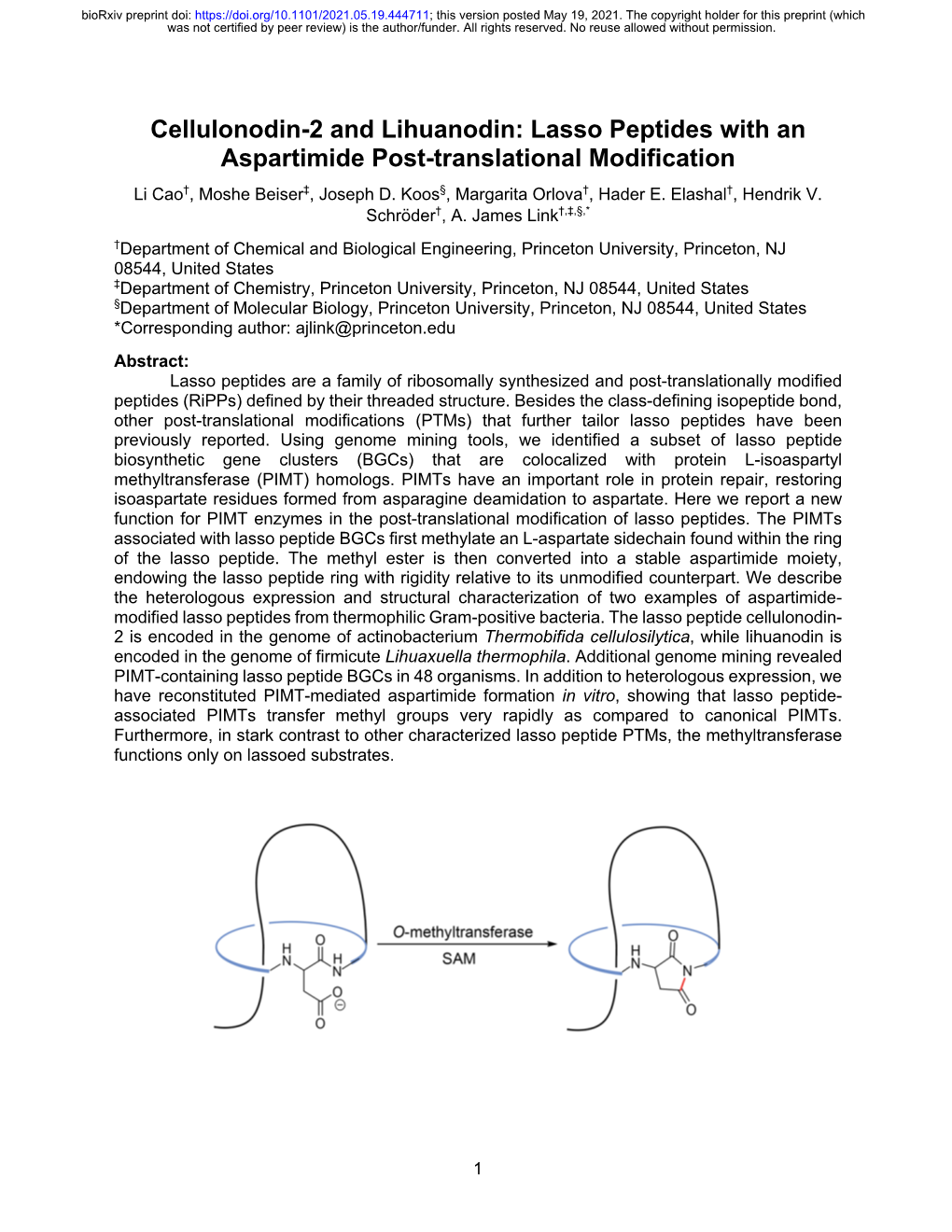 Lasso Peptides with an Aspartimide Post-Translational Modification Li Cao†, Moshe Beiser‡, Joseph D