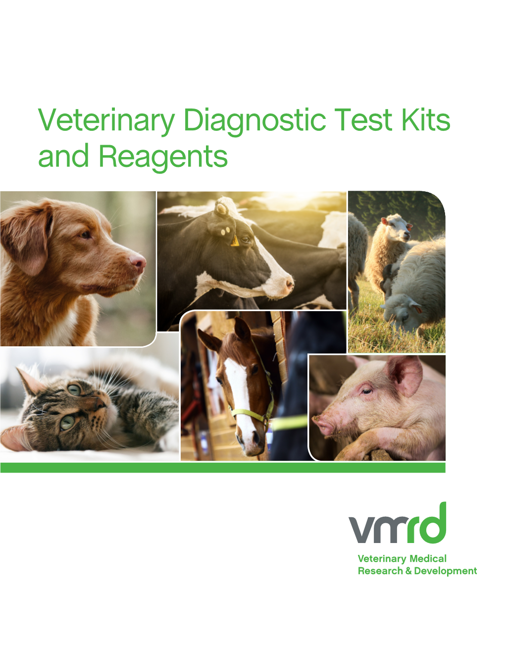 Veterinary Diagnostic Test Kits and Reagents One of the Great Things About Working at VMRD Is Being Part of Such a Great Group of People